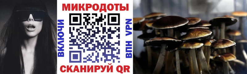 Купить  Тарко-Сале  Псилоцибиновые грибы мухоморы 